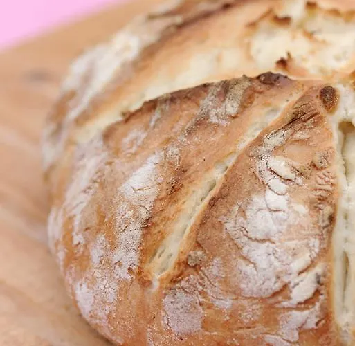 Pri Vodniku Pensjonat