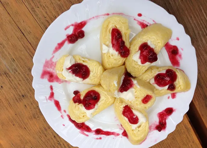 Pri Vodniku Guest house