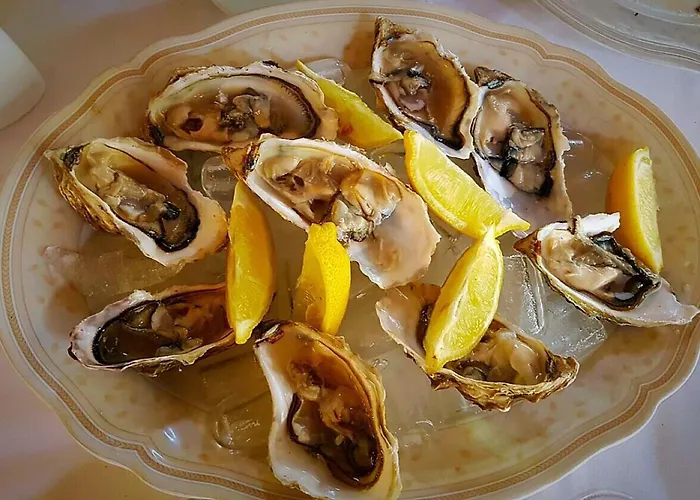 Pri Vodniku Ljubljana