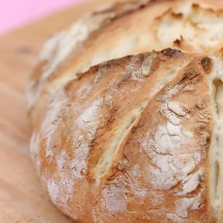 Pri Vodniku Гостьовий будинок